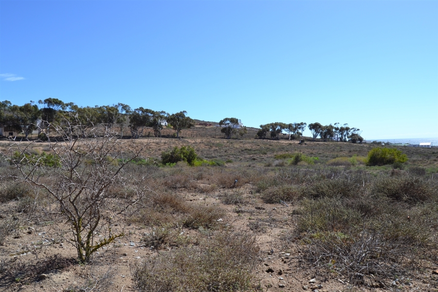 0 Bedroom Property for Sale in Steenbergs Cove Western Cape